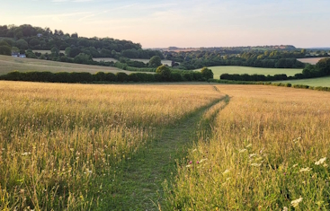 Walk Leading