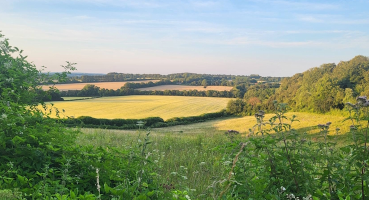 Surrey Young Walkers