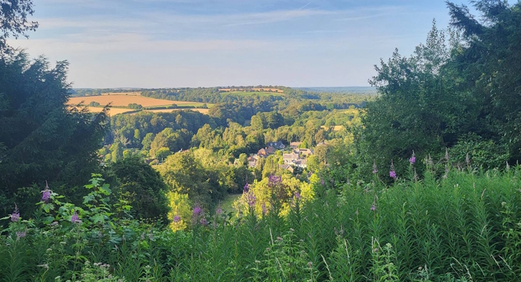Surrey Young Walkers